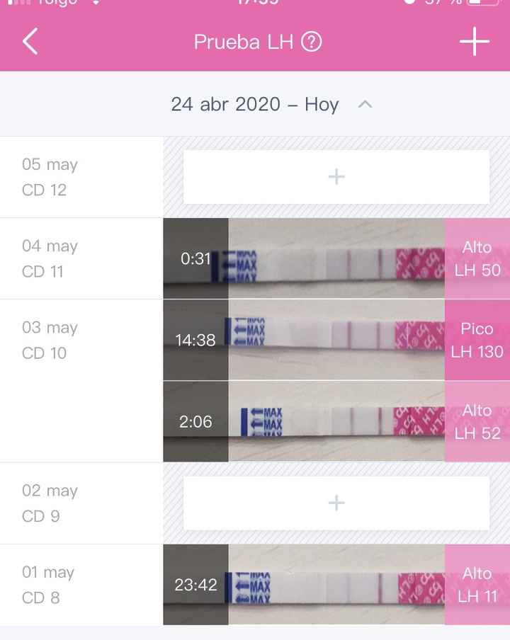 Buscadoras de Mayo 2020 - 2