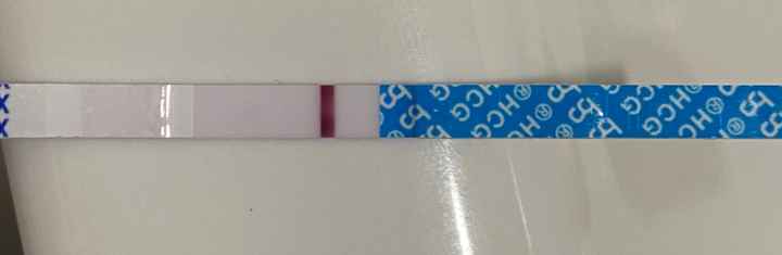 Buscadoras Septiembre 2020. 💕 - 1
