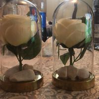 Regalo de los padres - 1