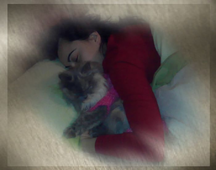Nuestras mascotas!! - 1
