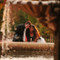 Ale y Sergio