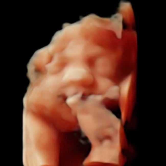 Futuras mamis junio 2021 🤰🏻❤️ oficial - 2