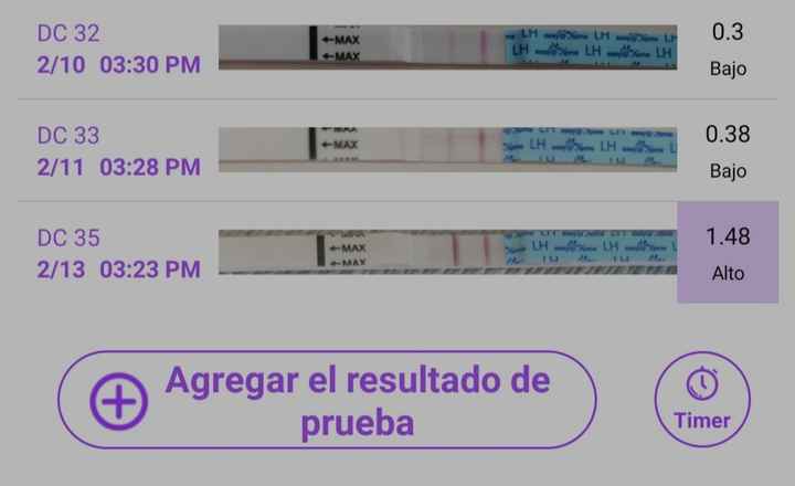 buscadoras febrero 2022 - 1