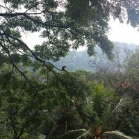 Sri Lanka mayo 2018 - 2