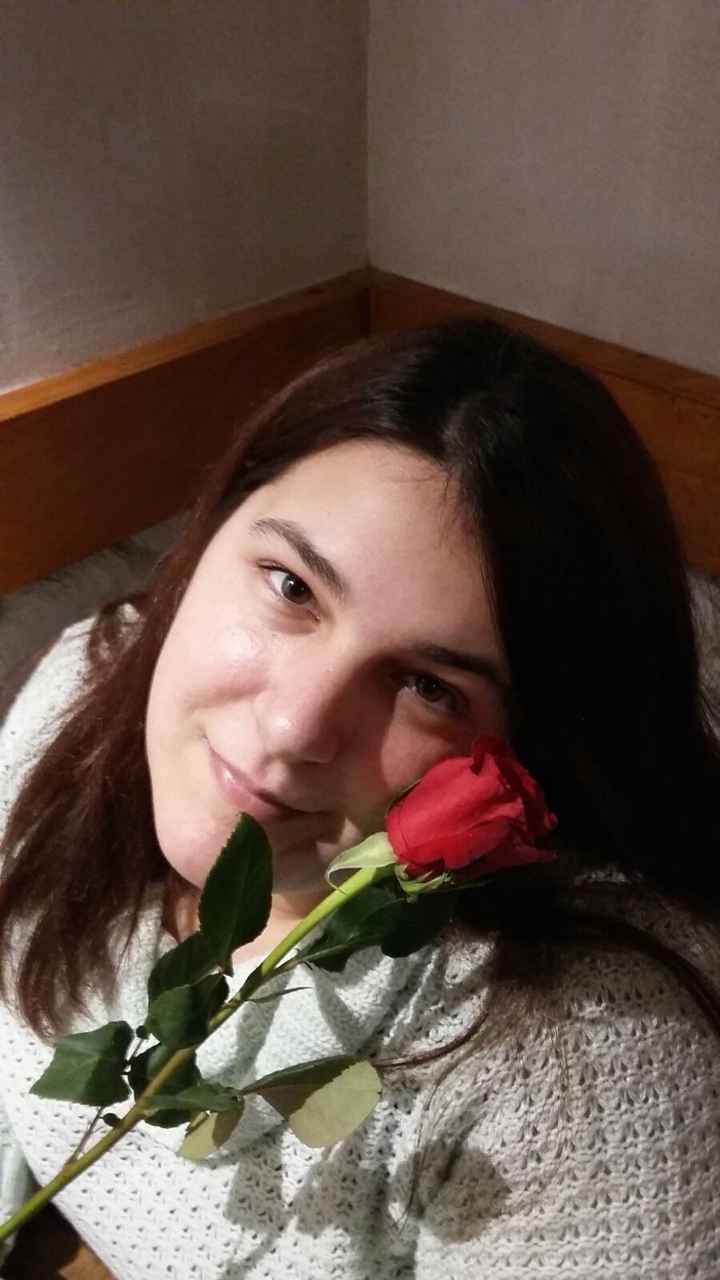 Regalo rosa