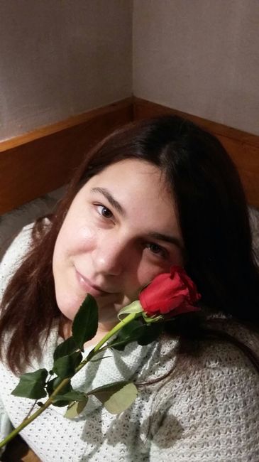 Regalo rosa