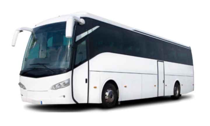 Transporte para los invitados - 1