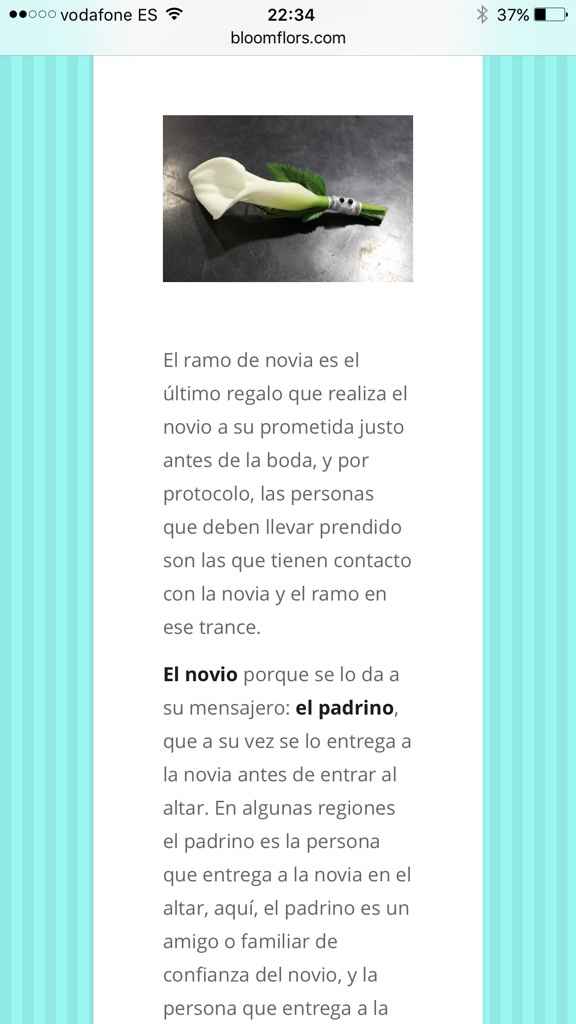 Ramo novia - 1