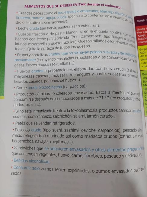 Futuras mamis Junio 2023 - 1