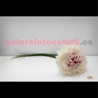 Ramo de novia - 1