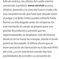 buscadoras febrero 2020 - 1