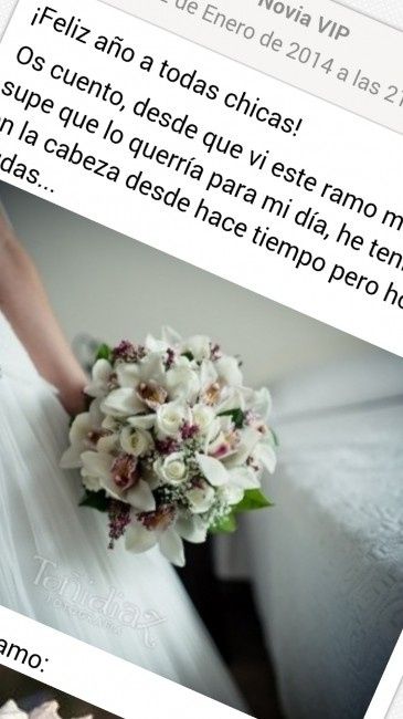 Ramos novia 2014 - 1