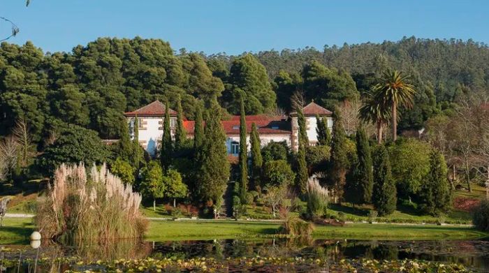 Nuestro sitio 