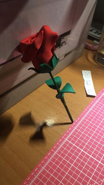 Rosa goma Eva! - 1