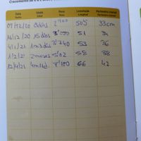 Futuras mamas Diciembre 2020 - 1