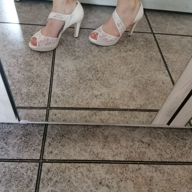 La búsqueda de mis zapatos de novia 1