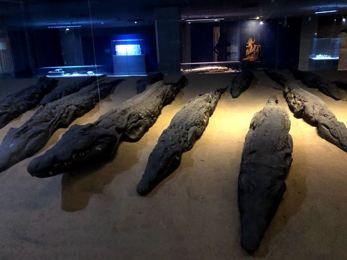 Egipto parte 1: destino mágico (luna de Miel 2021) 25