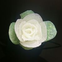 Mi primera rosa de silicona - 1