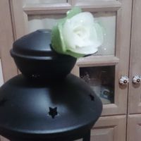 Mi primera rosa de silicona - 3
