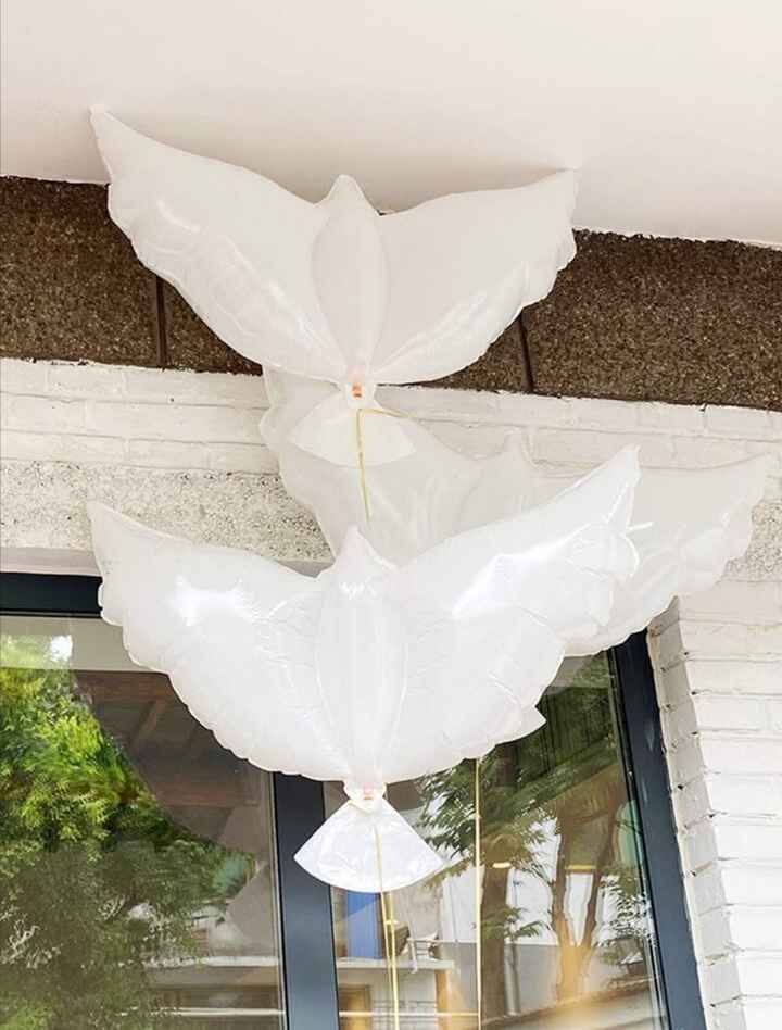 Texto para soltar paloma - 1