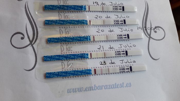comparación tests