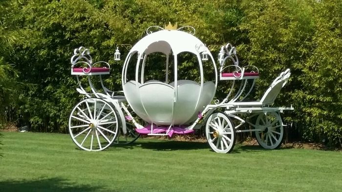 Mi boda disney - 1
