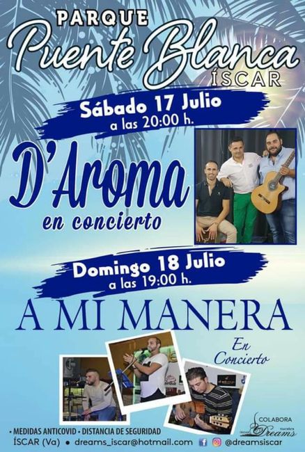 Grupo de música en el cóctel 3