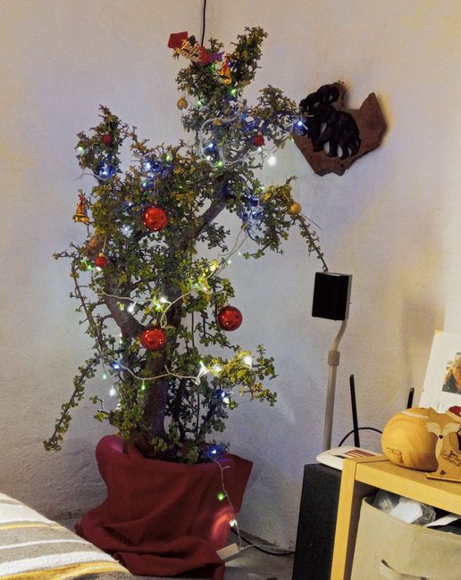 ¿Soléis decorar vuestra casa con adornos navideños? - 1