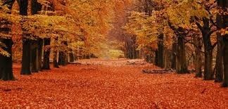 mi epoca preferida otoño