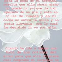Que no os arruinen las ilusiones - 2