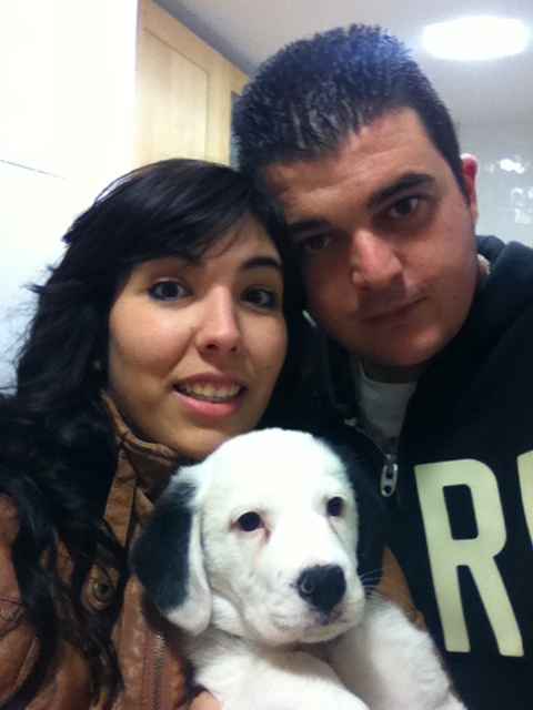 los tres!