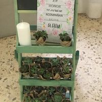Flores y precios!! - 4