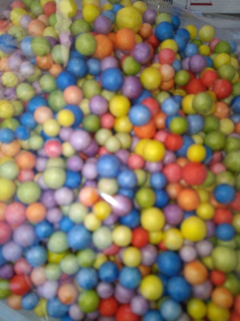 Confeti y flores secas - 1