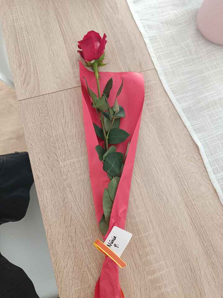 Feliz Sant Jordi - 2