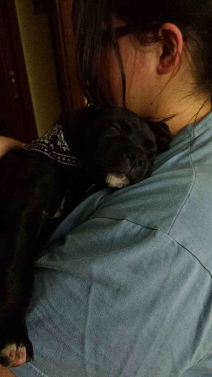 Nuestras mascotas!! - 1