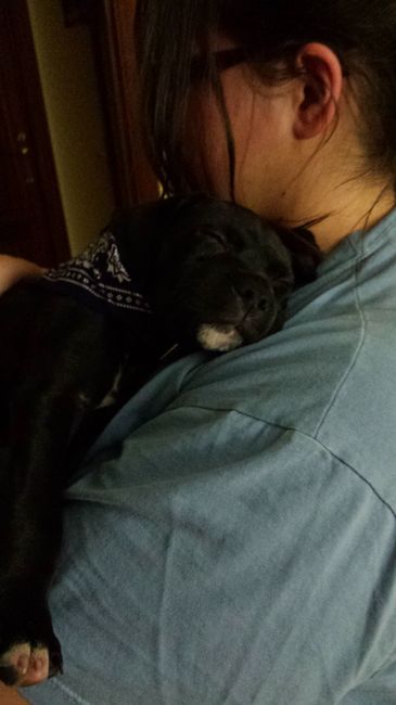 Nuestras mascotas!! - 1