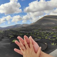 ¿Has cotilleado anillos de compromiso antes de la pedida? - 1