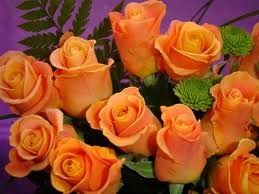 Rosas naranjas