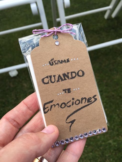 Lágrimas de felicidad - 1