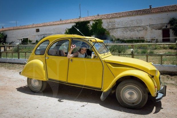 Transporte amarillo 3