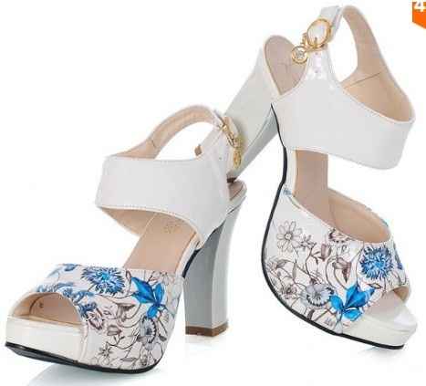 Zapatos1