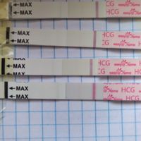 ia inseminacion artificial - 1