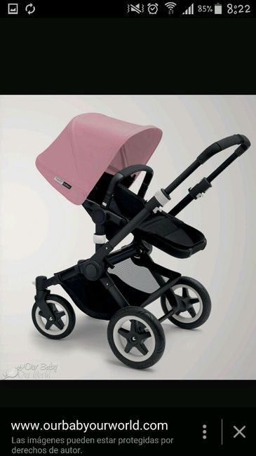 Dudas entre bugaboo camaleón/buffalo o uppababy vista - 1