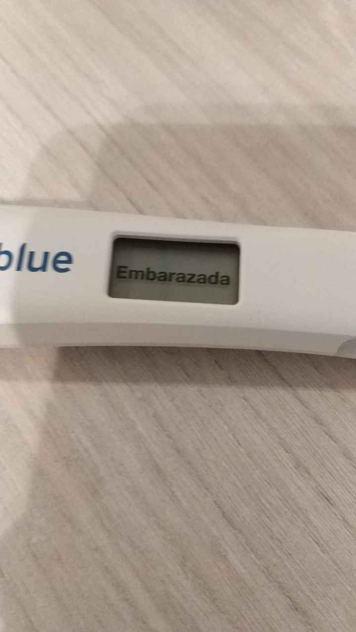 Primer embarazo muy buscado, cuánto costó el segundo? - 1