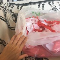 Petalos aliexpress: cuántos? - 1