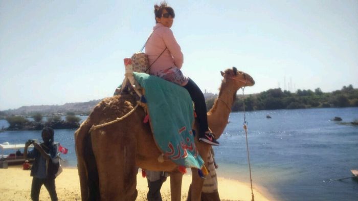 Viaje novios egipto 2016 - 1