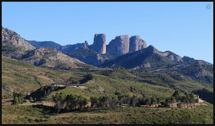 SUS VISTAS
