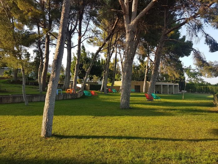 La otra parte del jardín