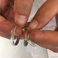 Joya y Diseño Nos dejaron sin alianzas - 1