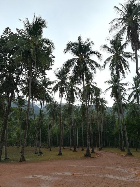 Mi luna de miel, Tailandia, Camboya y Vietnam - 8